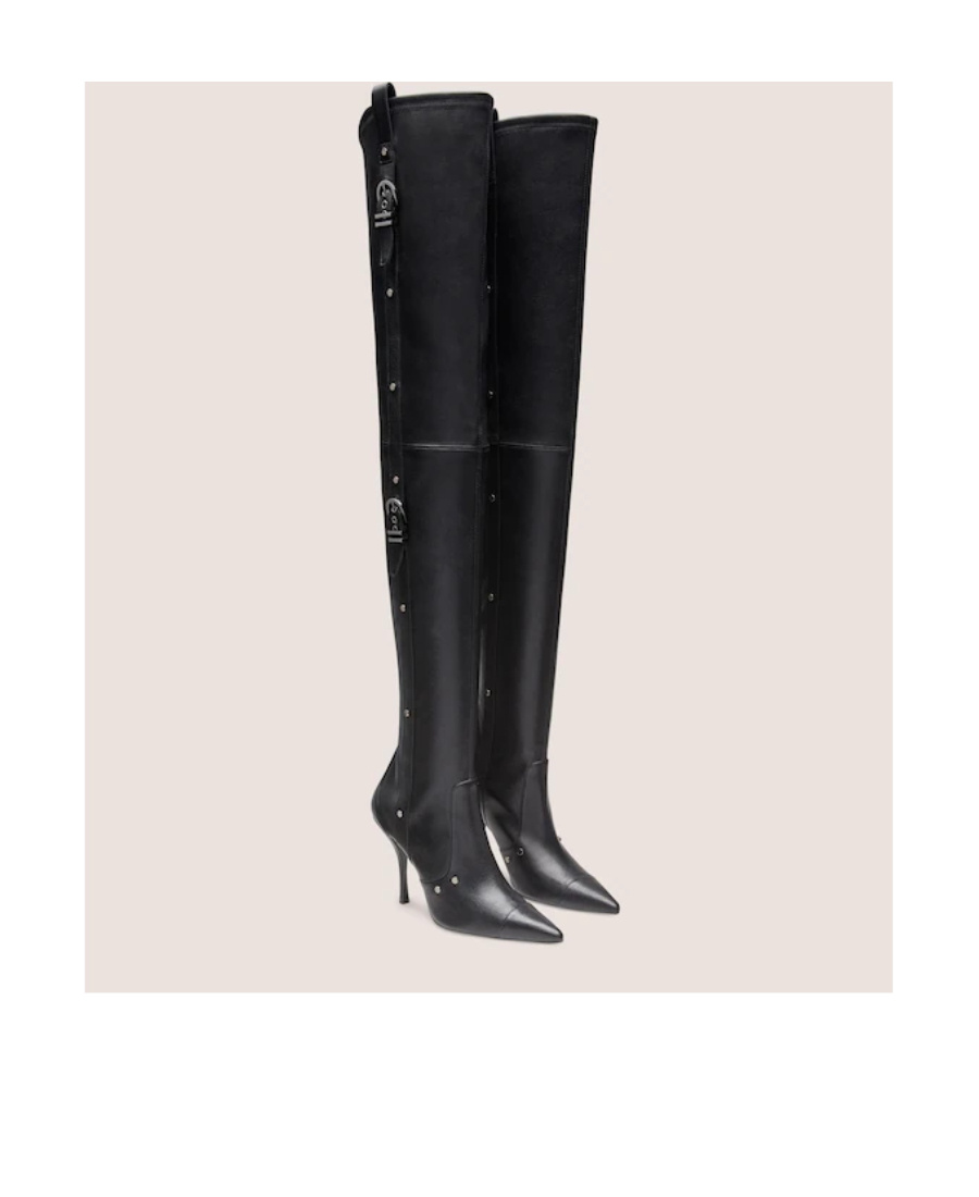 Stuart Weitzman Pointed Boots In Black