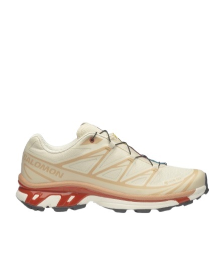 Salomon Xt-6 Gore-tex In Brown