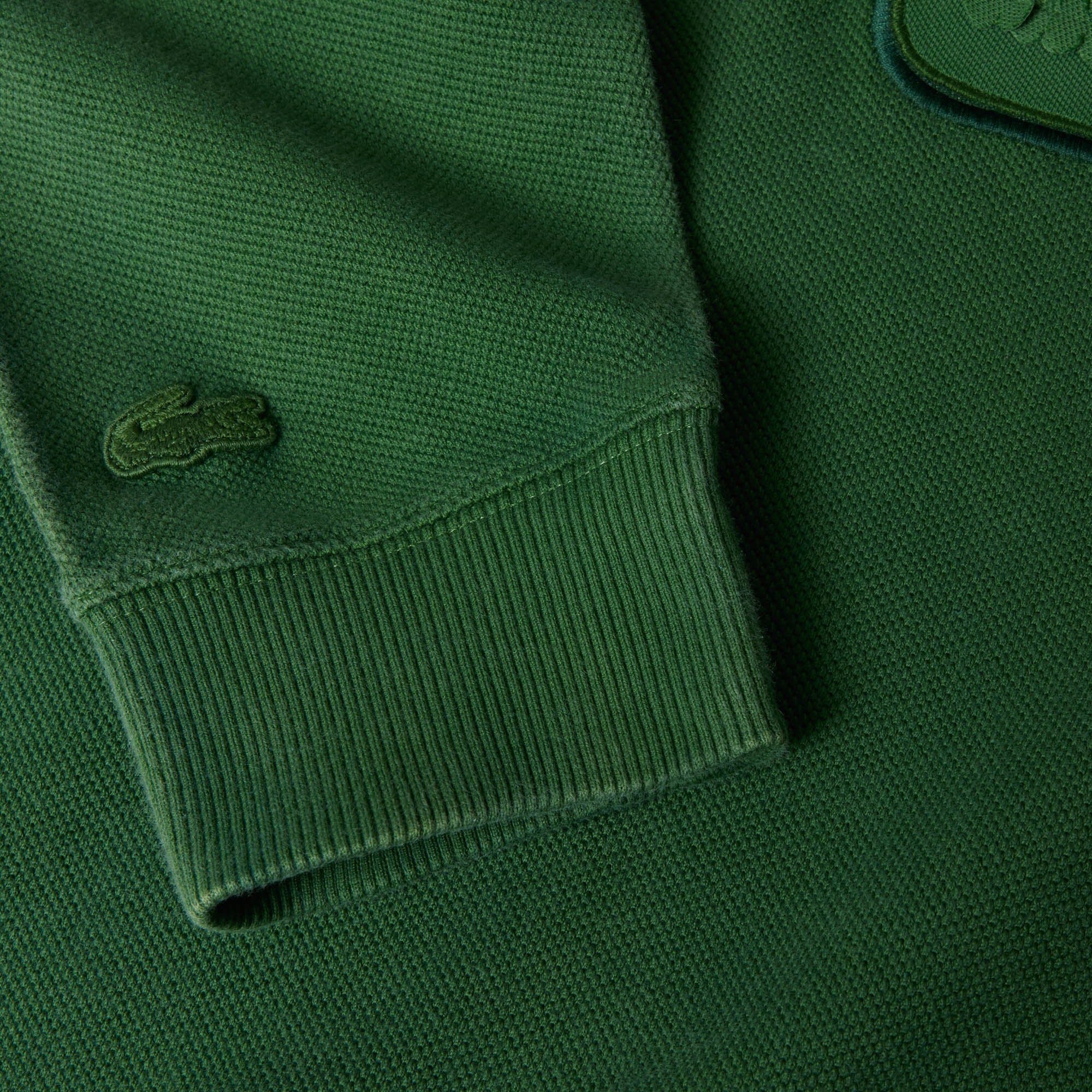 Lacoste Embroidered Hoodie In Green