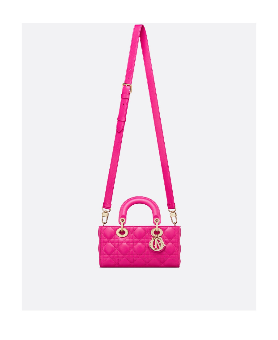 Dior Small Ladyd-joy Bag