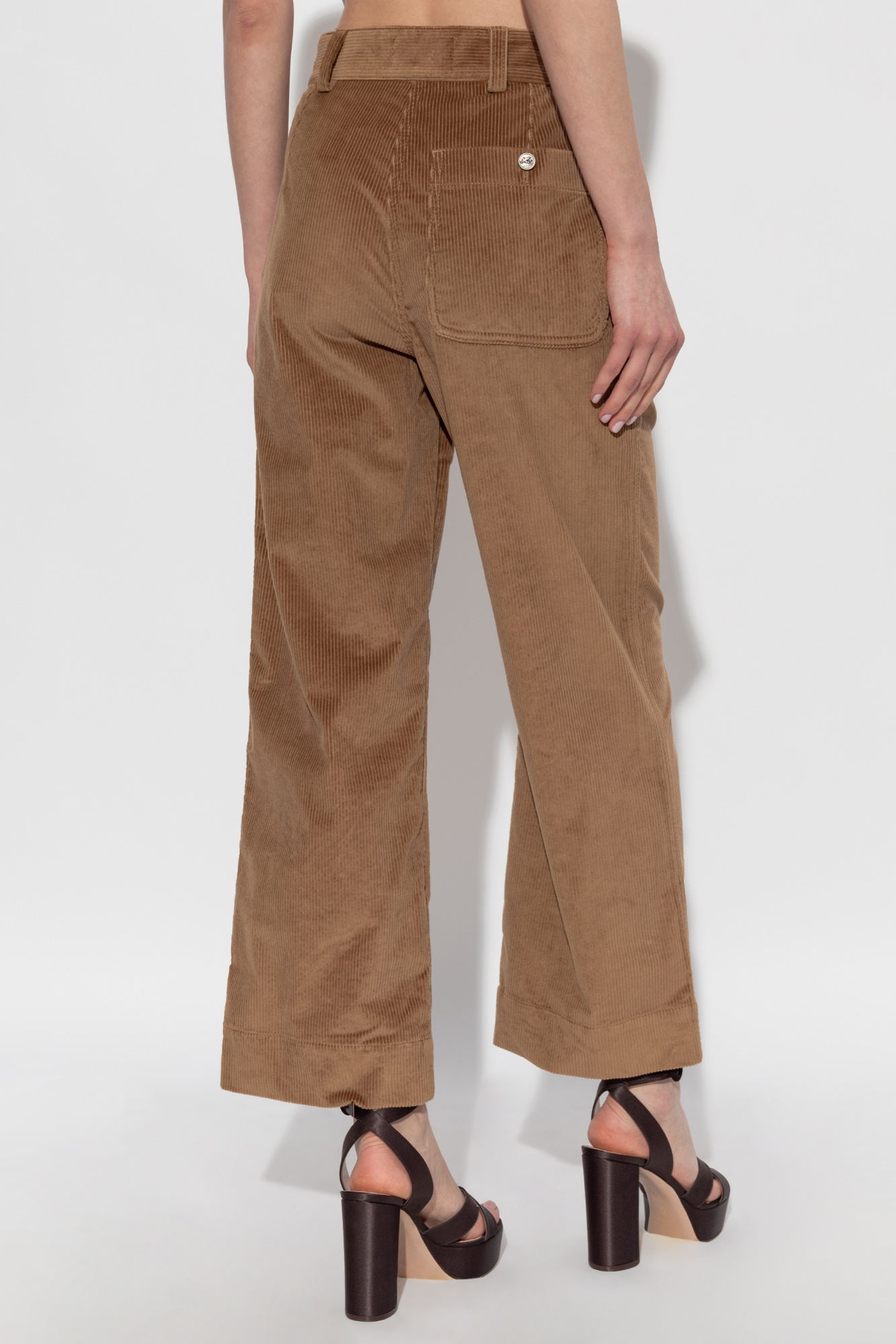 Etro Belt Loop Track Pants In Brown