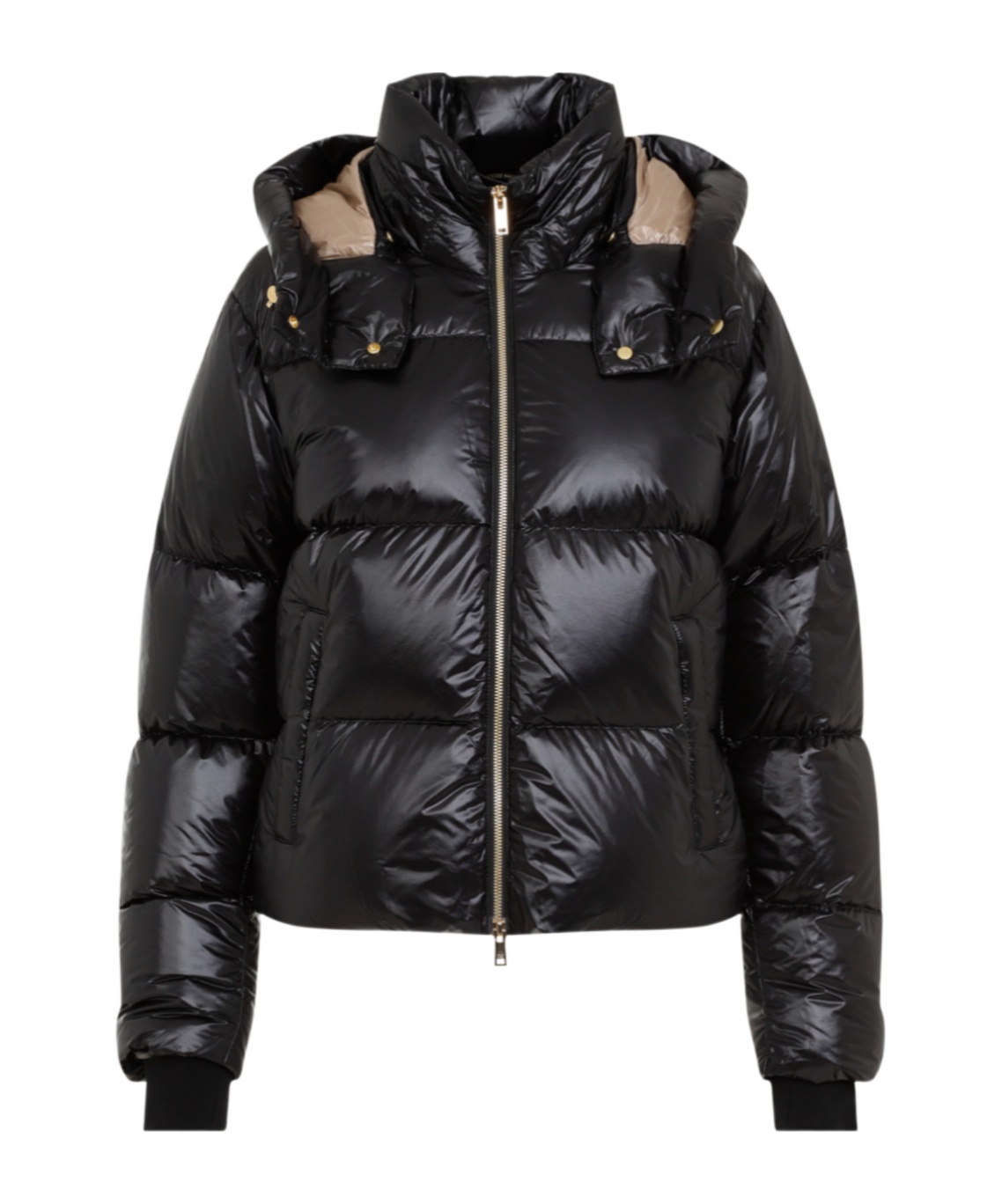 Moose Knuckles Wintercoat In Black