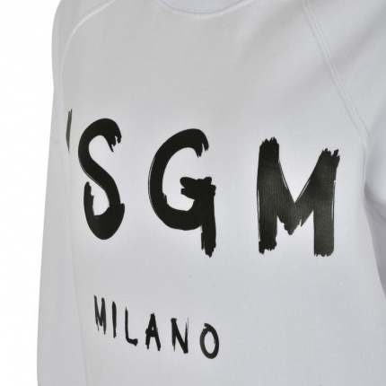 Msgm Printed Logo Sweater In Gray
