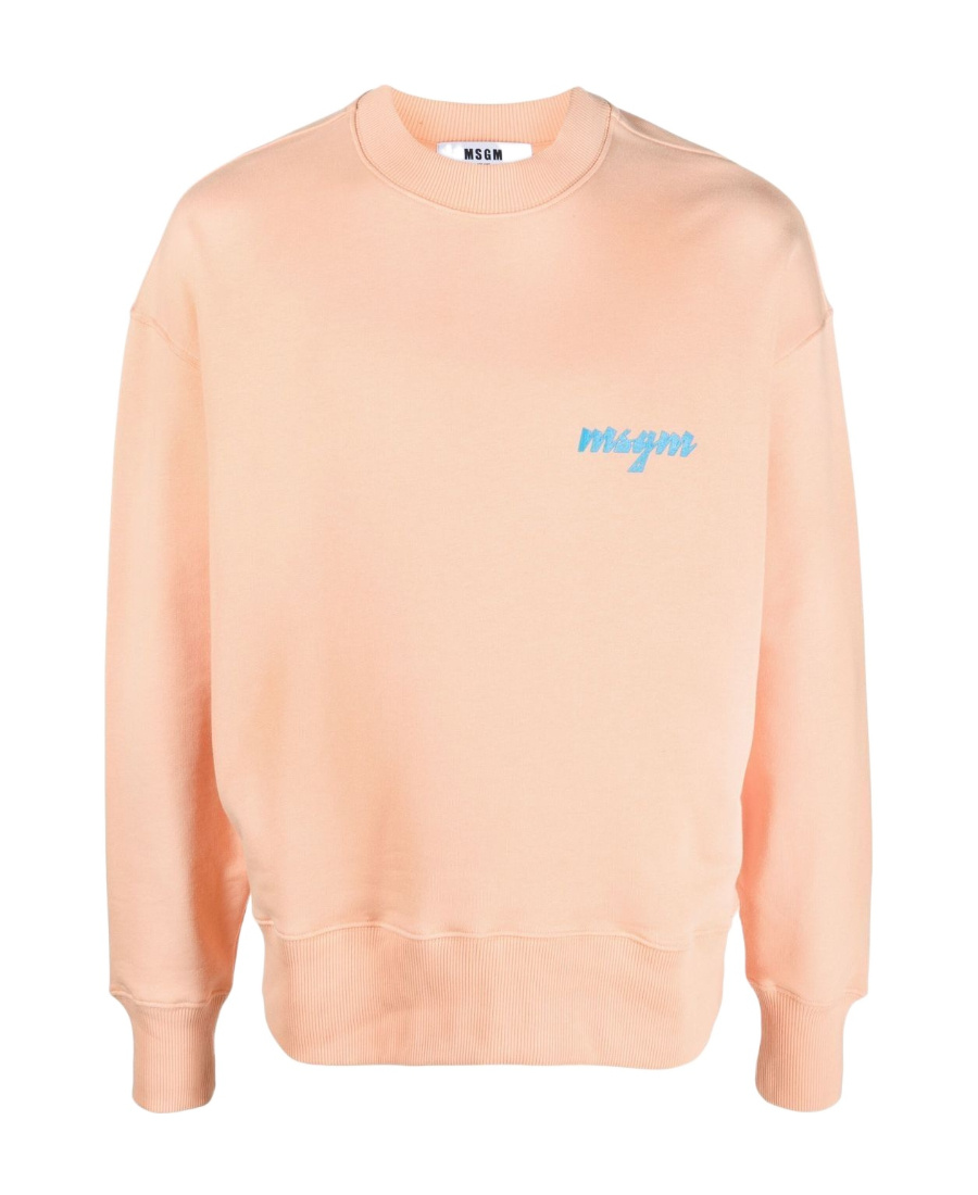 Msgm Palm Tree Logo-print Sweatshirt In Nude