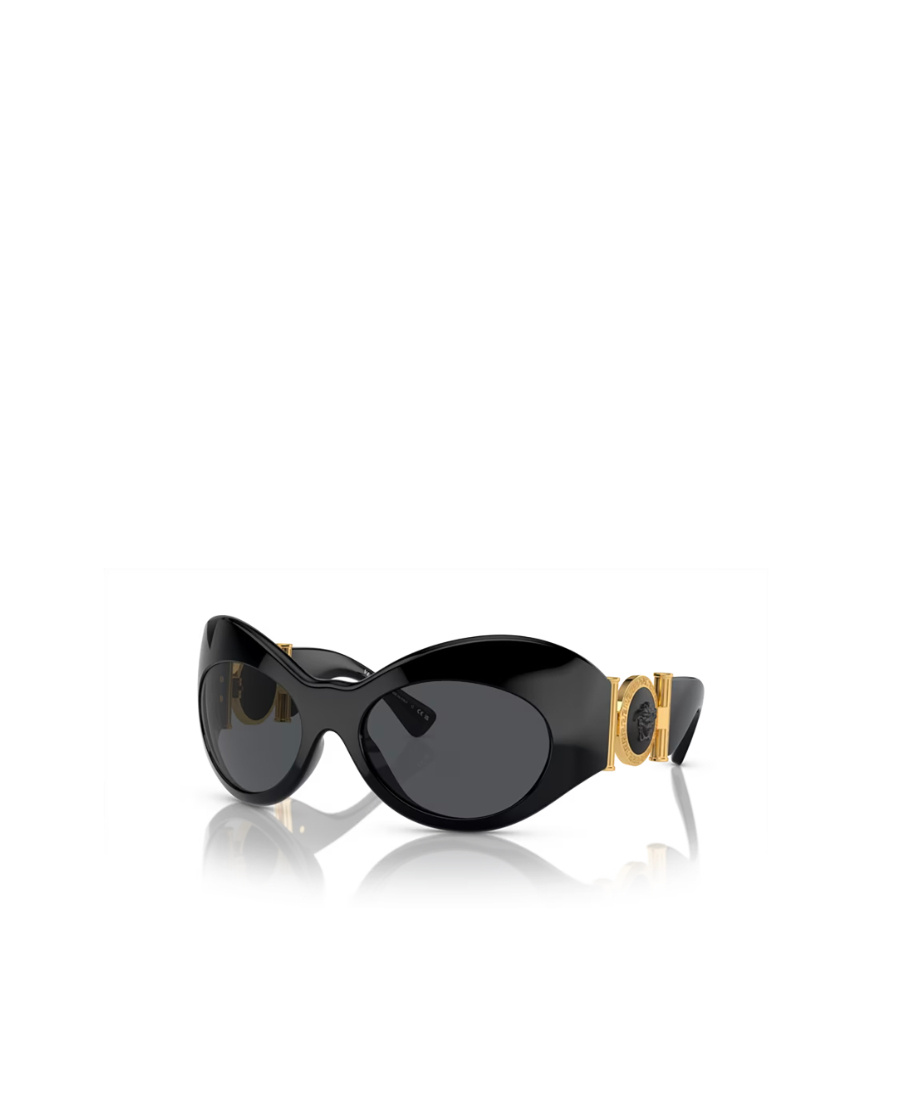 Versace Women's Injected Sunglasses In Black