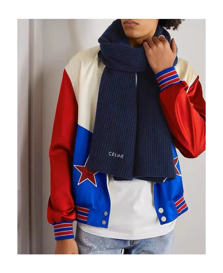 Celine Logo Cashmere Scarf In Blue