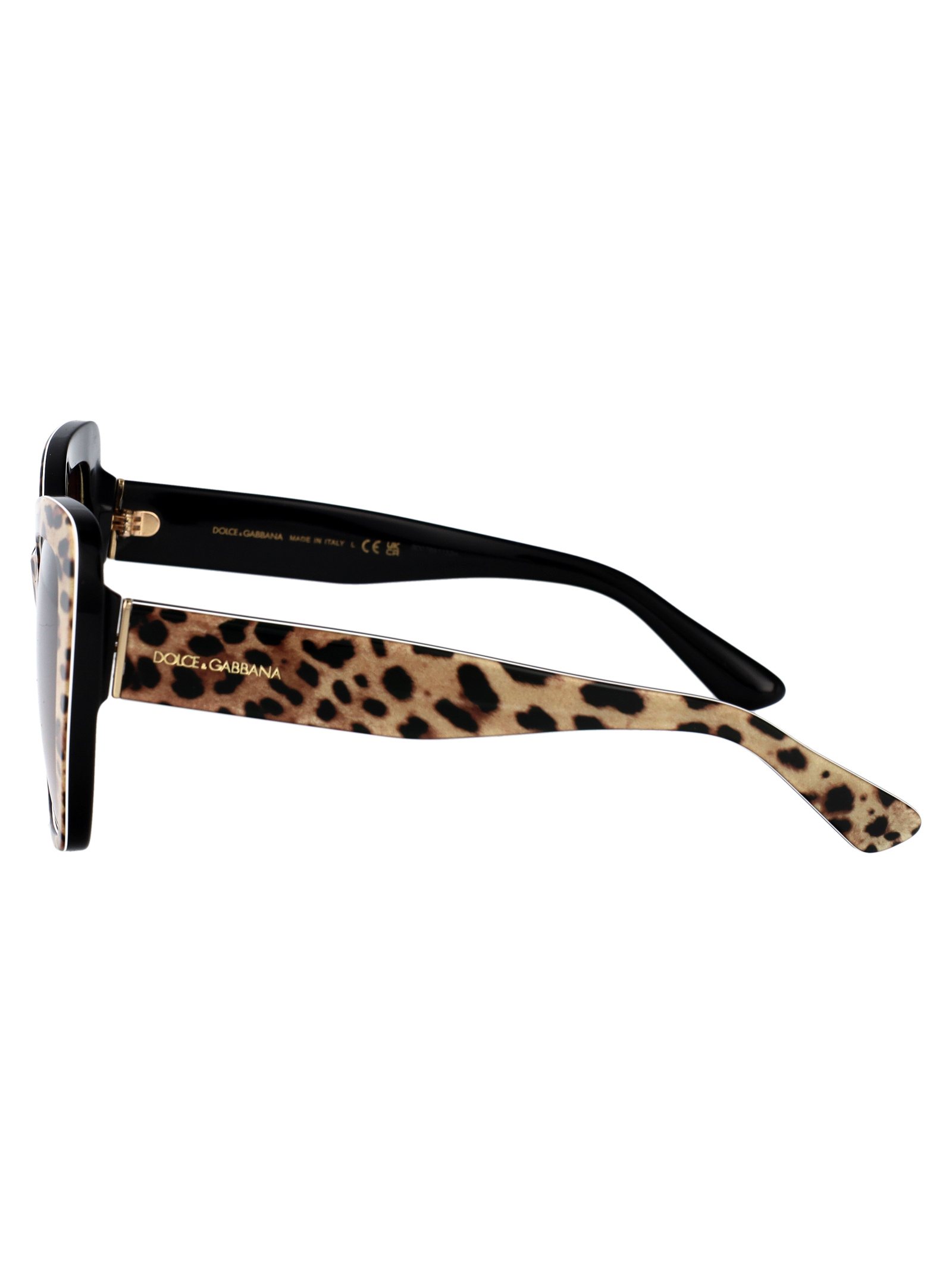 Dolce & Gabbana Print Family Sunglasses In Brown