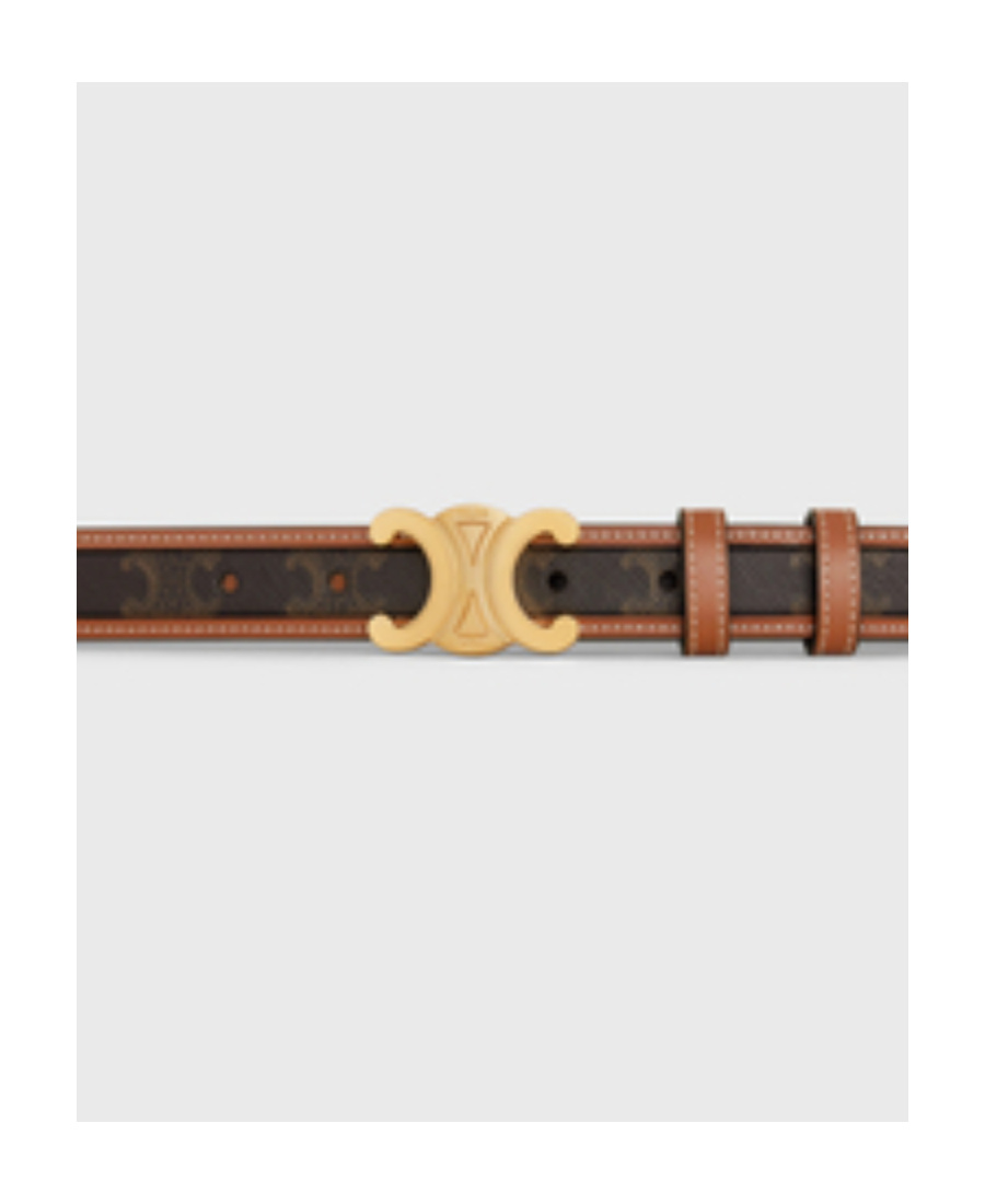 Celine Border Triomphe Medium Logo Printed Cowhide Belt In Brown