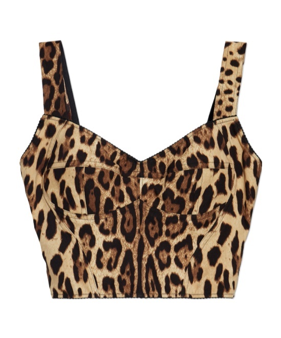 Dolce & Gabbana Leopard-print Bustier Top In Brown