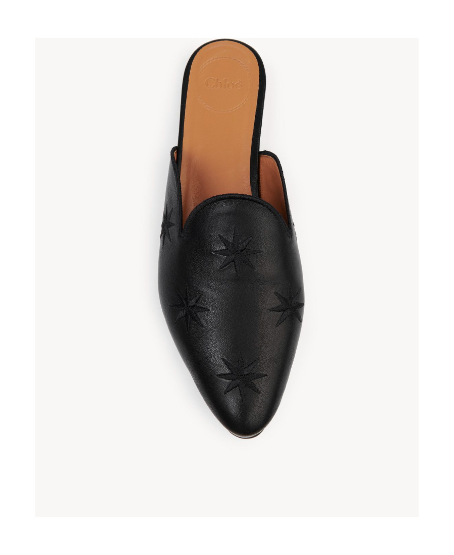 Chloé Pointed Muller Shoes In Black