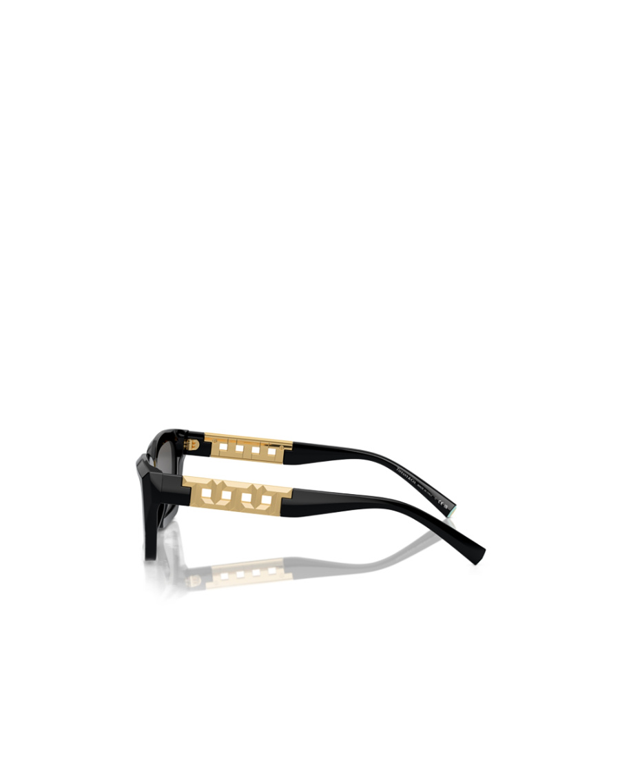 Tiffany & Co Rectangular Logo Sunglasses In Black