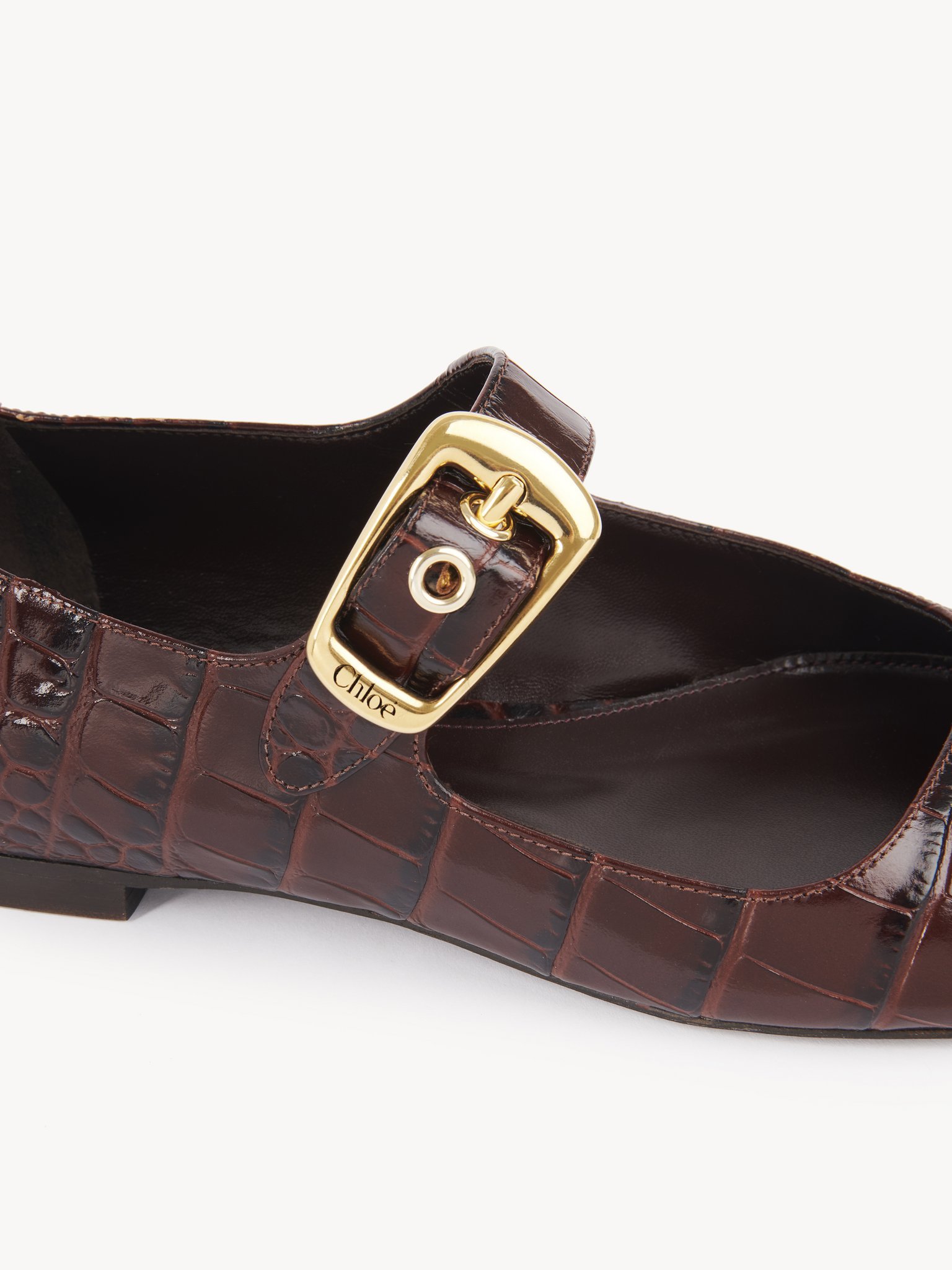 Chloé Polly Ballet Shoes In Brown