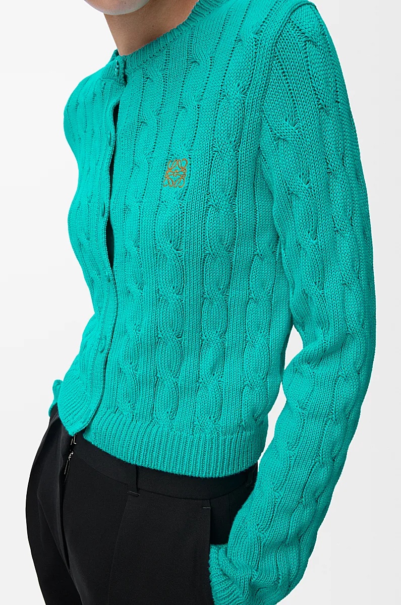Loewe Long-sleeved Cardigan In Blue