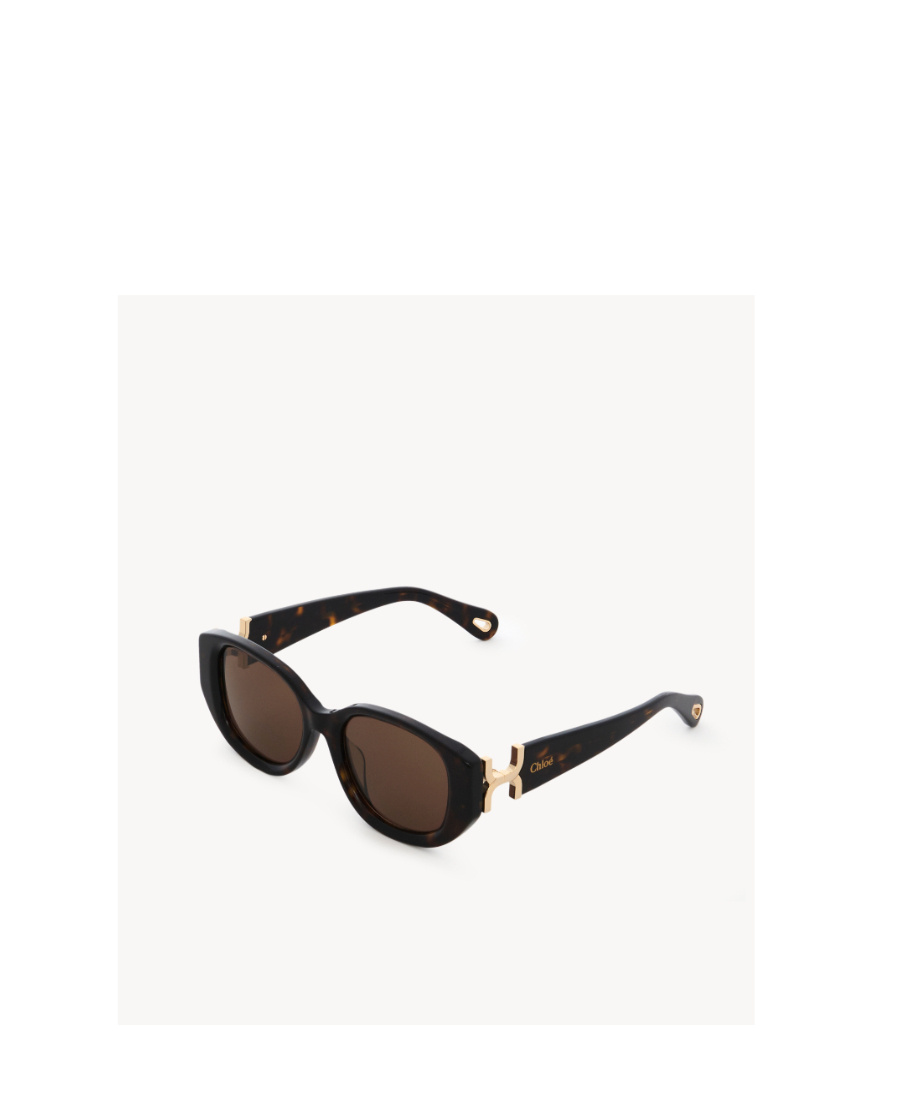 Chloé Marcie Elliptical Sunglasses In Brown