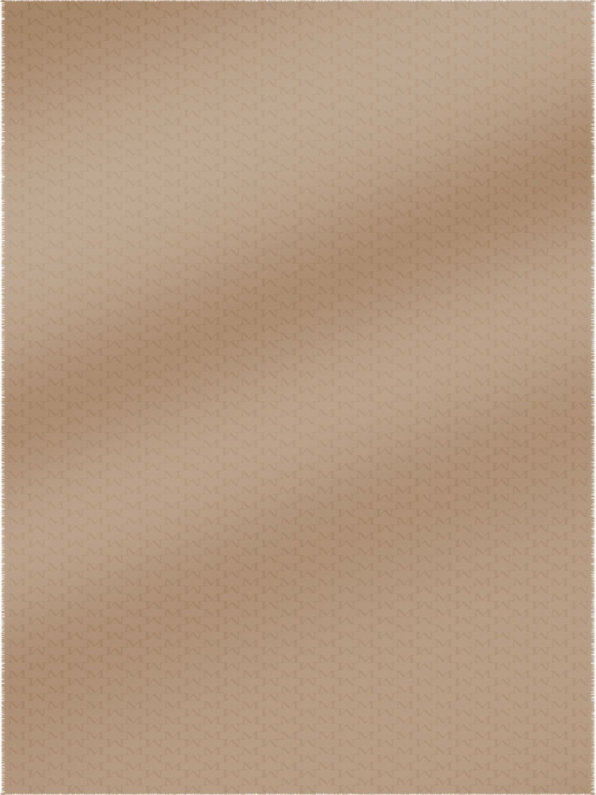 Max Mara Logo Shawl In Nude