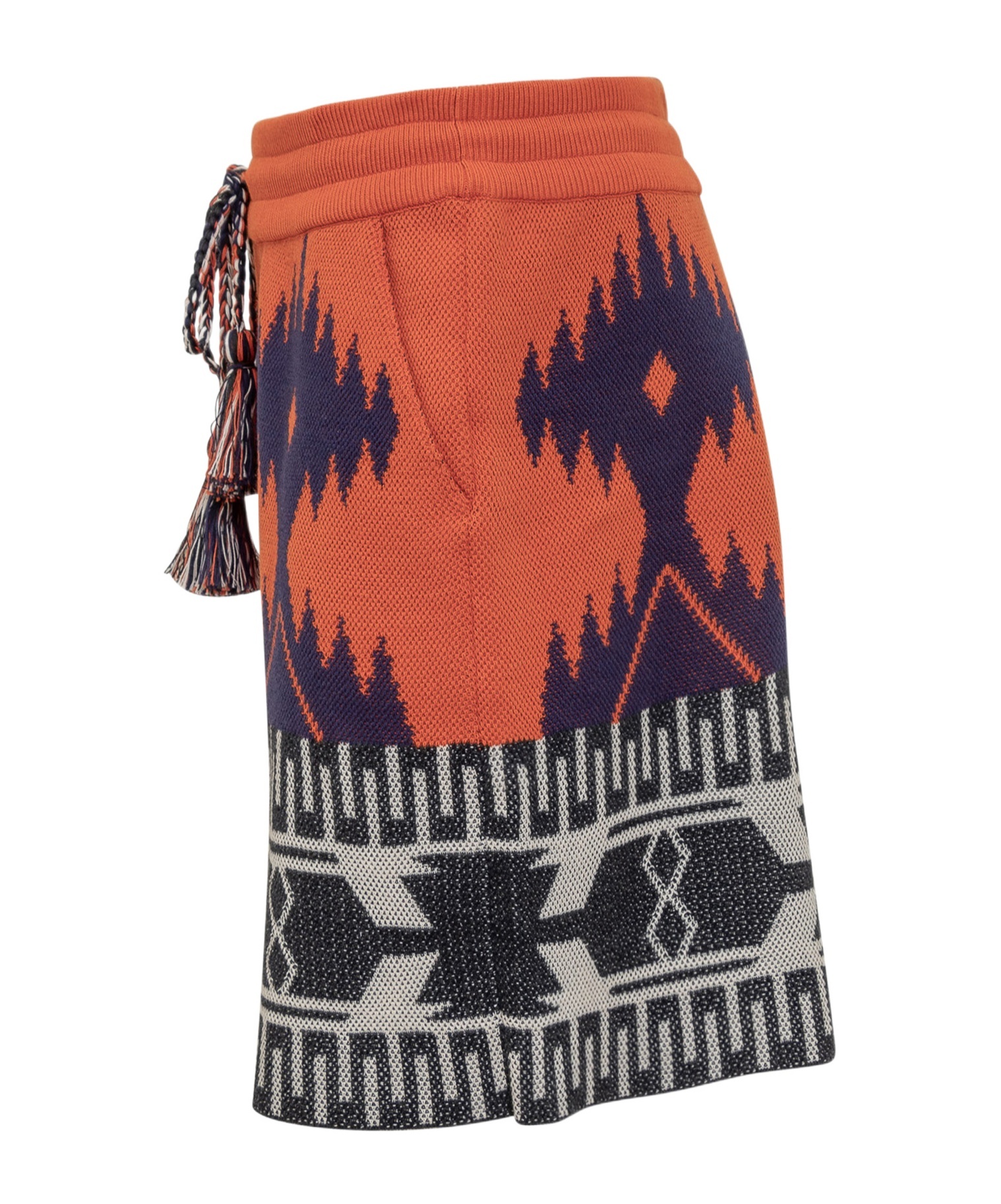 Alanui Icon Bermuda Shorts In Black
