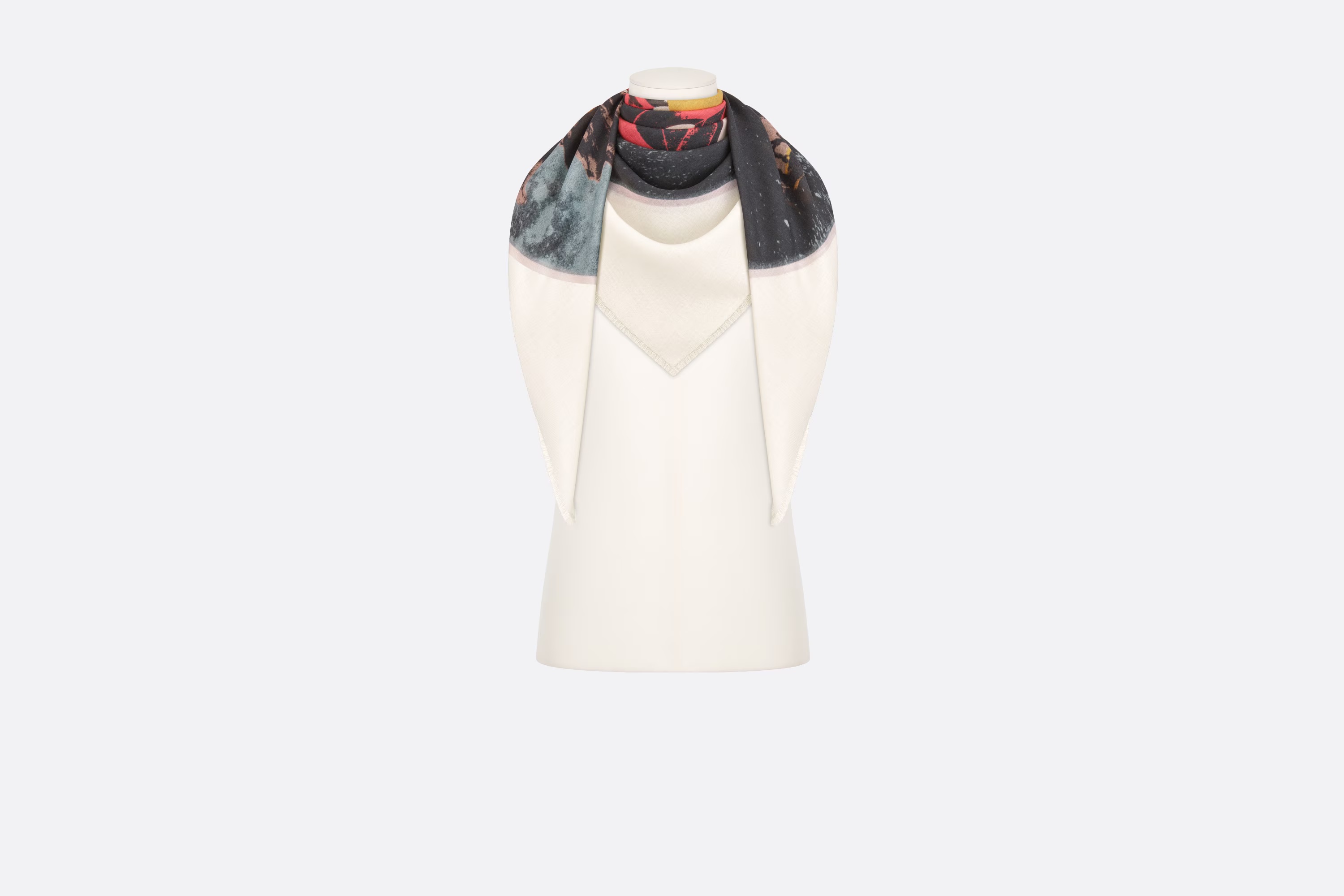 Dior Pattern Printed Shawl In Multicolor