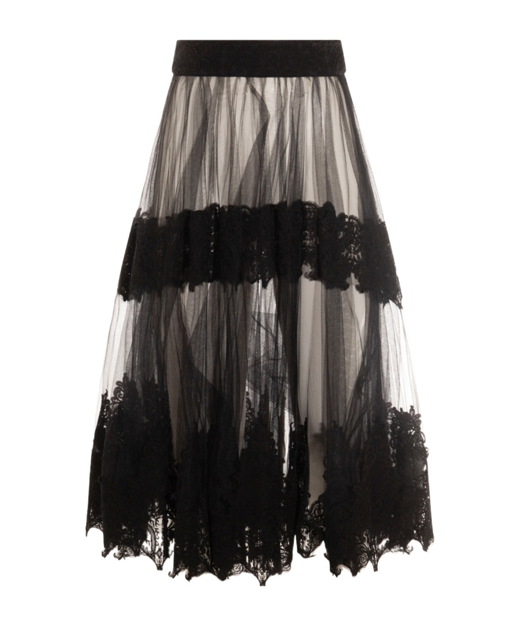 Elisabetta Franchi High Waist Lace-detailed Tulle Skirt In Black