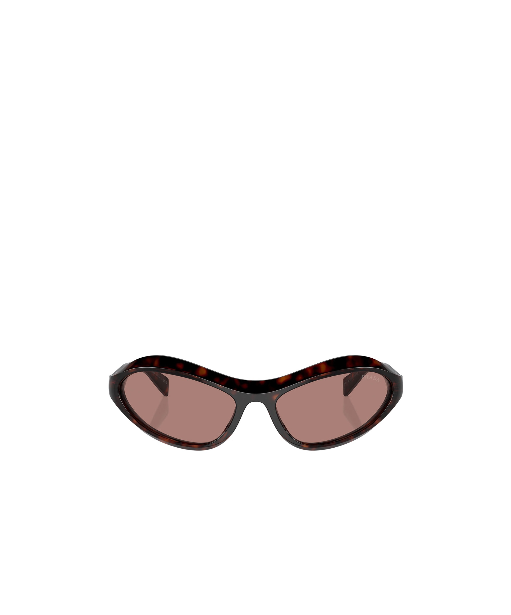 Prada Pr A20s Root Tortoise Sunglasses In Brown