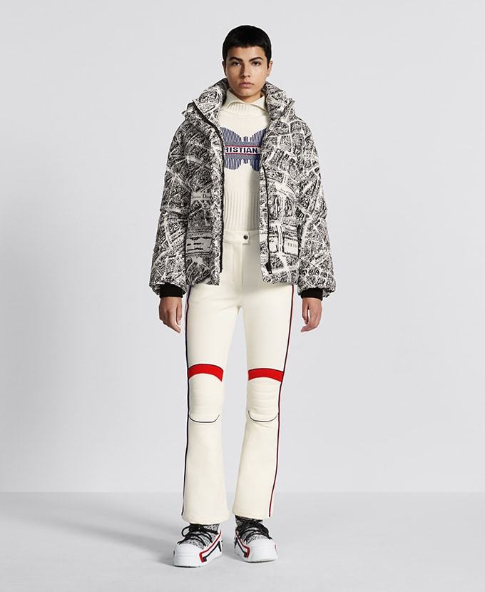 Dior Alps Hooded Down Jacket In Gray