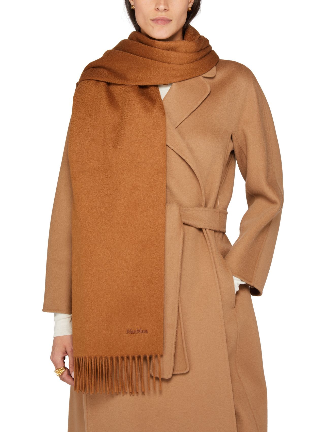 Max Mara Cashmere Stole With Embroidery And Fringing In Brown