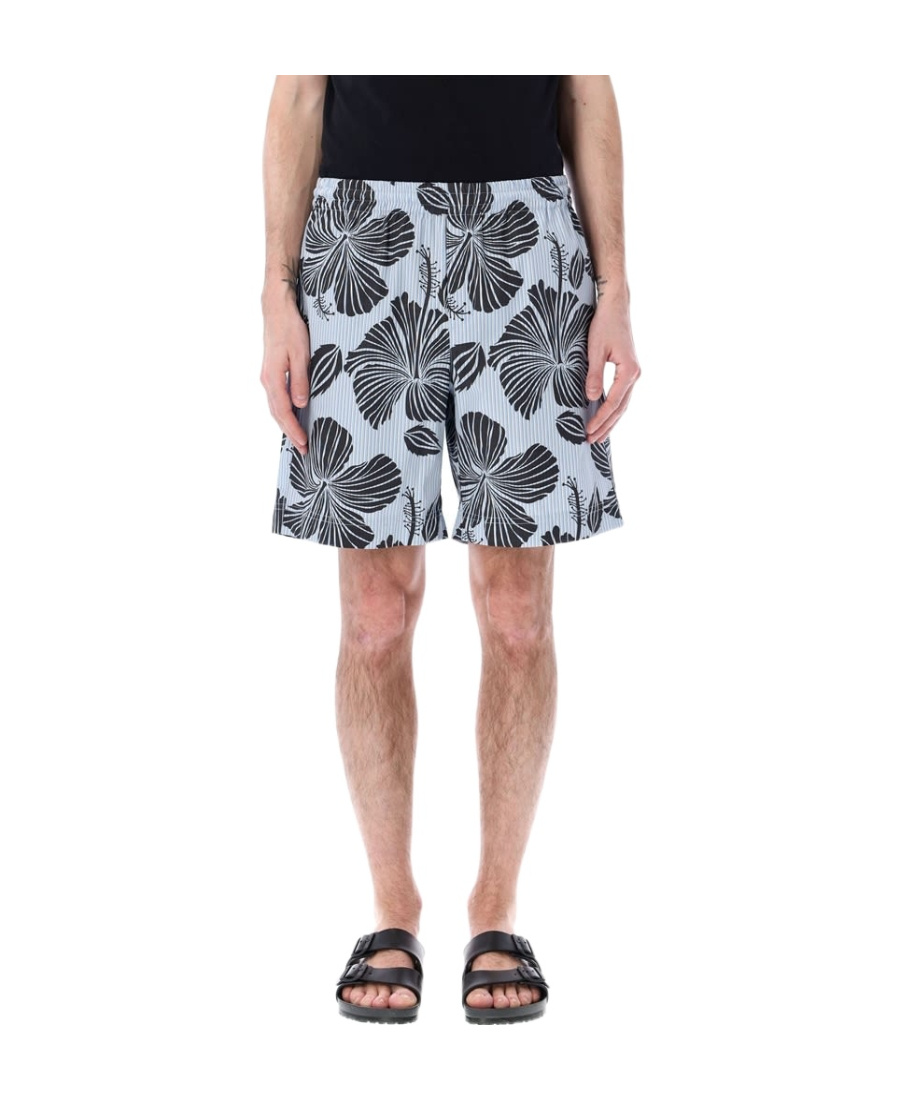 Msgm Striped Hibiscus Printed Shorts In Multicolor
