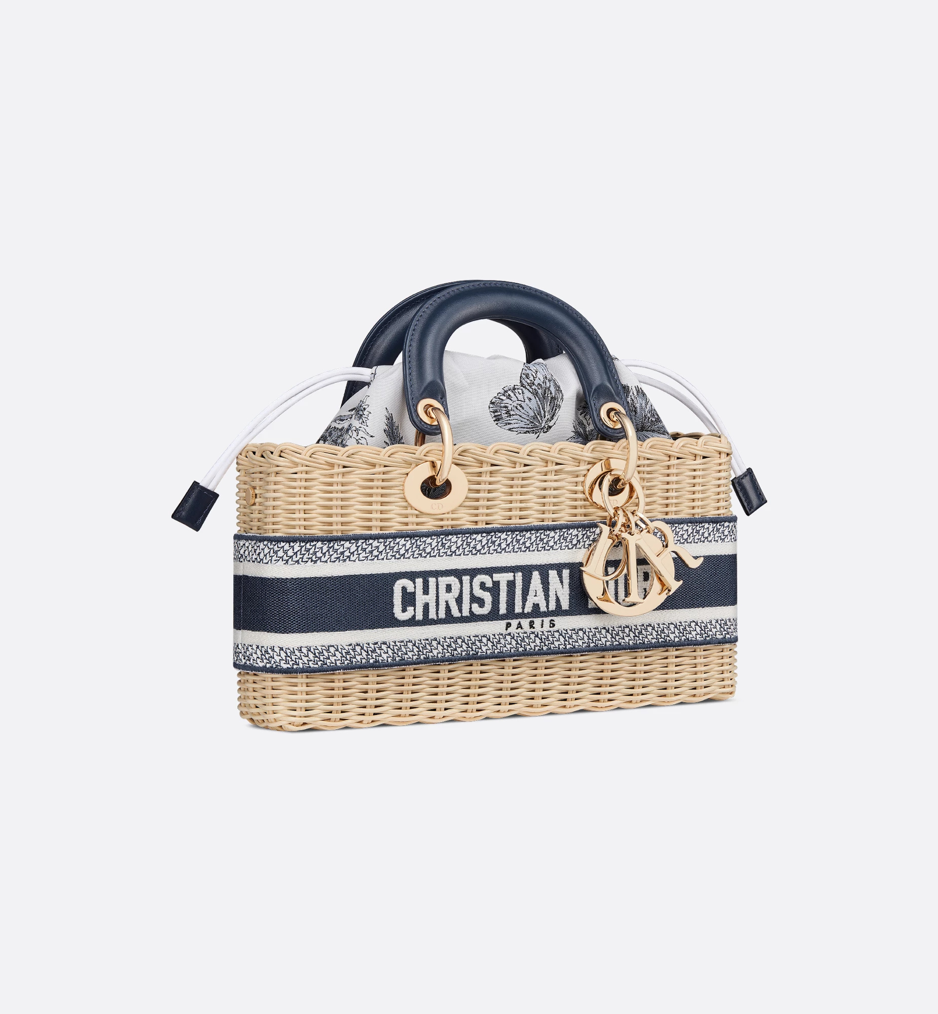 Dior Medium Lady D-joy Bag In Multi