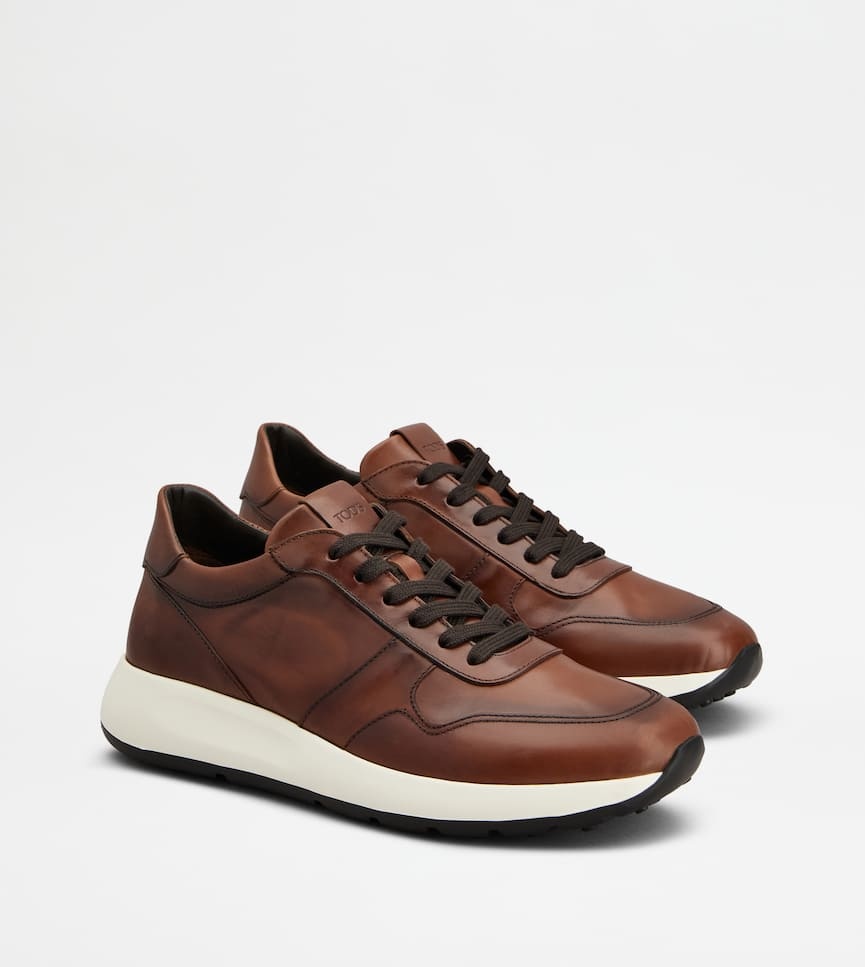 Tod's Leather Sneakers In Brown