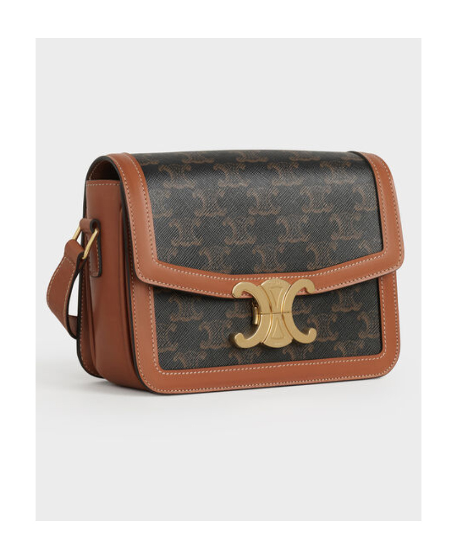 Celine Brown Triomphe Canvas Crossbody Handbag For Women In Brown