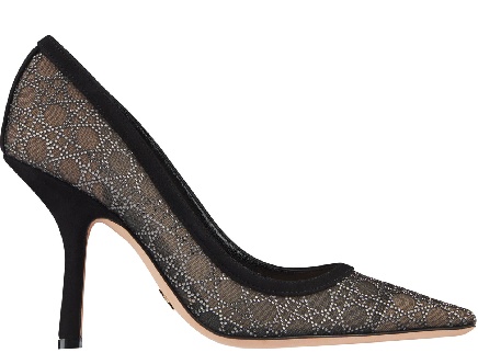 Dior Pointed High Heels In Black