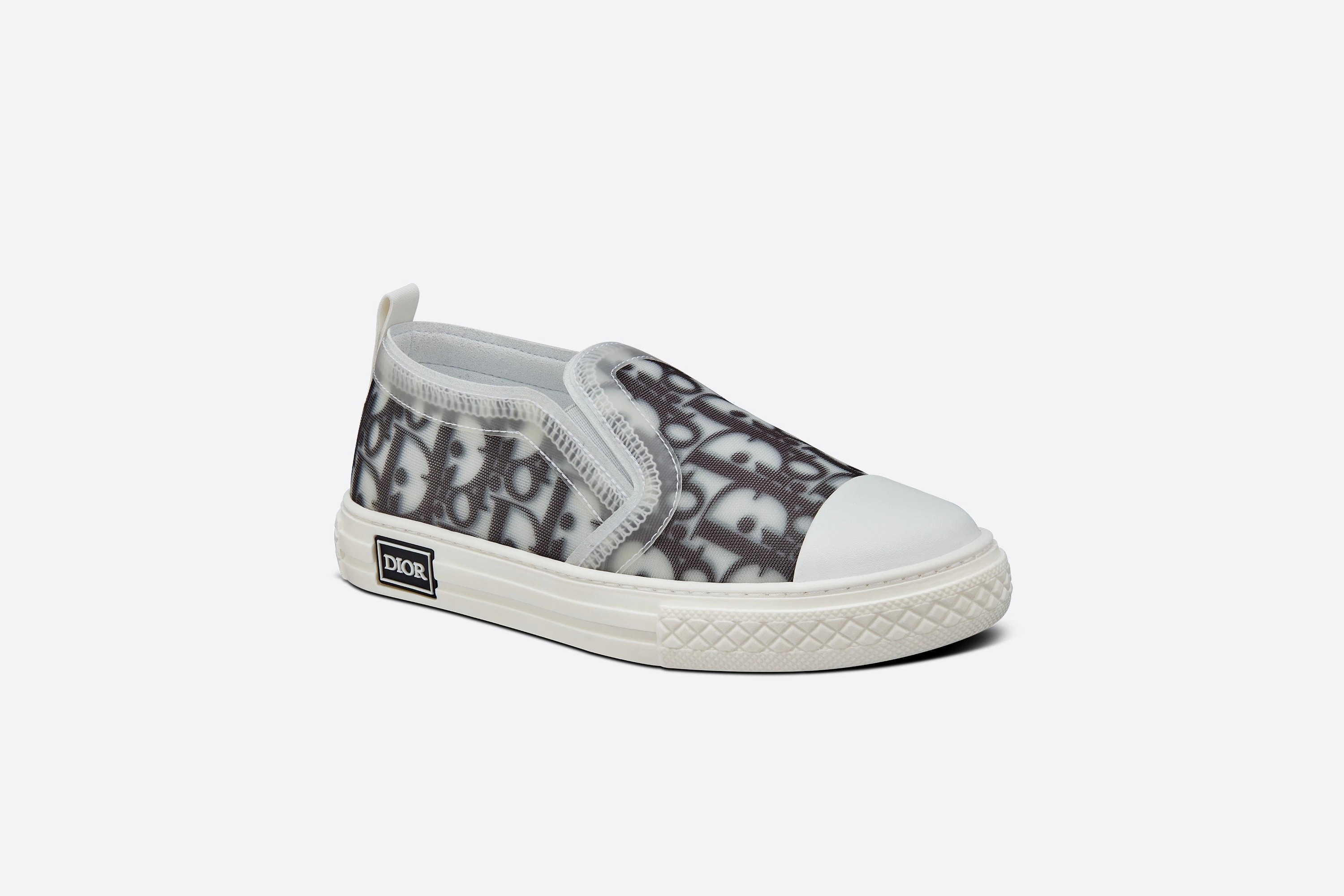 Dior Logo Gray Canvas Shoes In White