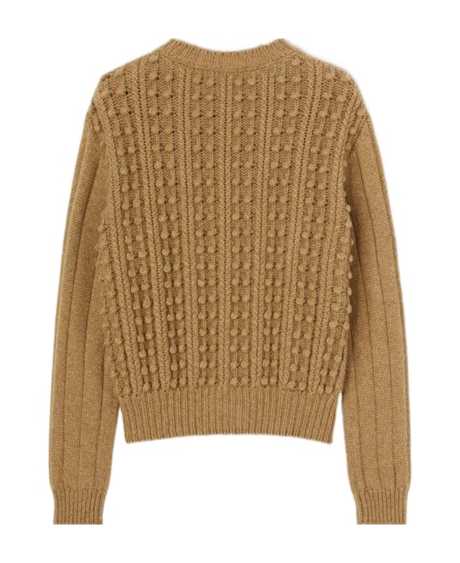 Loro Piana Stud Knitted Crewneck Jumper In Brown