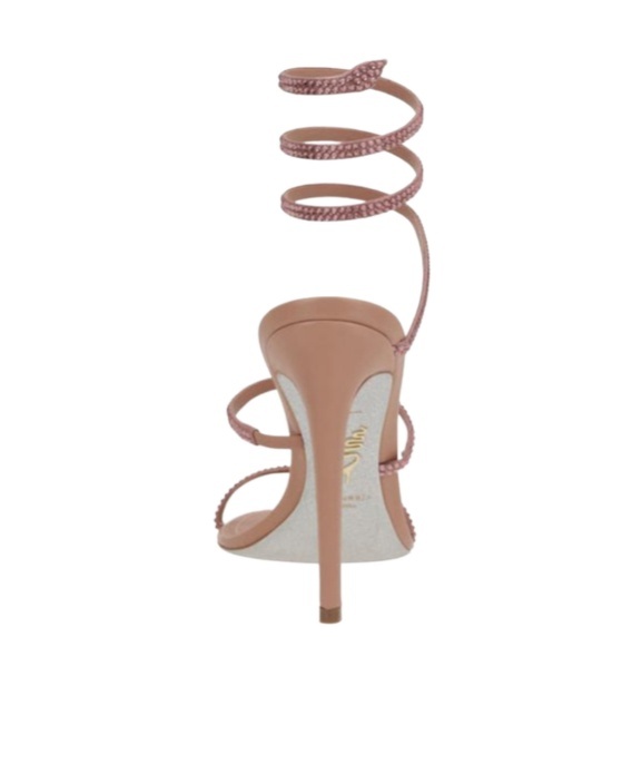 René Caovilla Embellished Cleo Sandals 105 In Brown