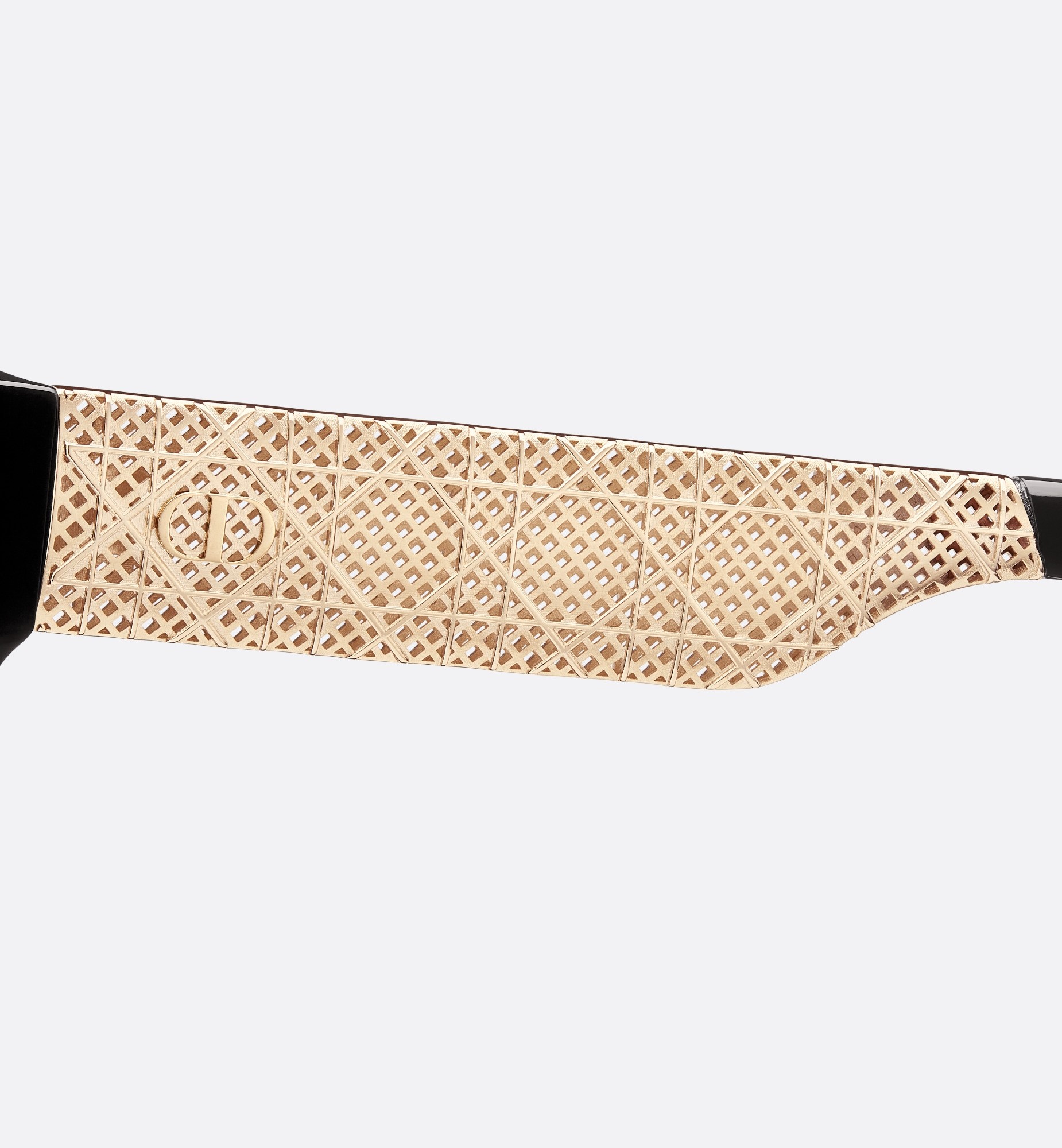 Dior Ésilleb1i In Black