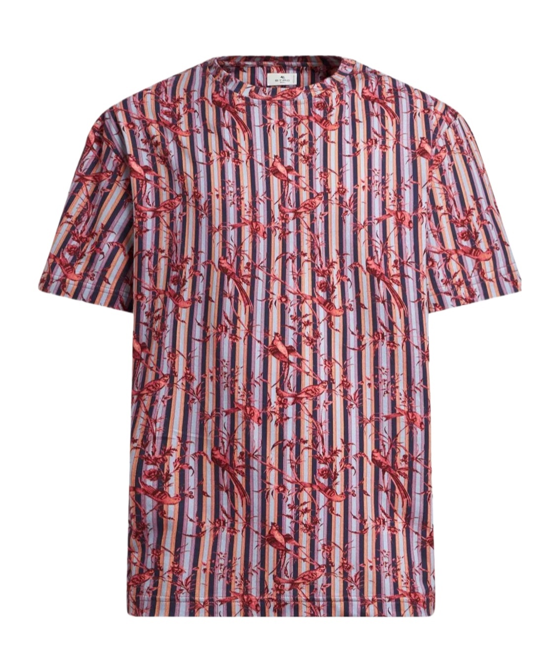 Etro Cotton T-shirt With Bird Pattern In Multi