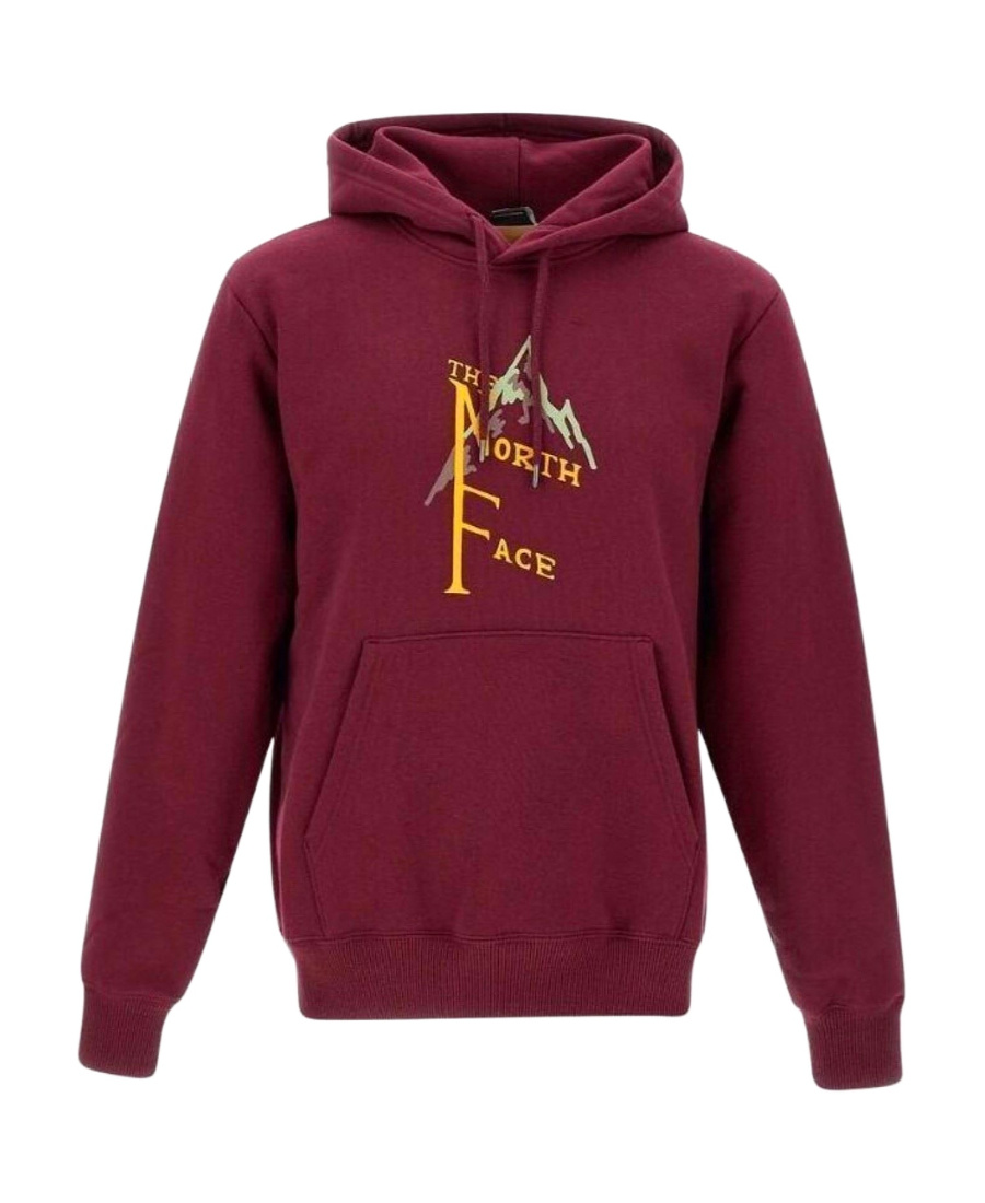 The North Face Letter Hooded Sweater In Red