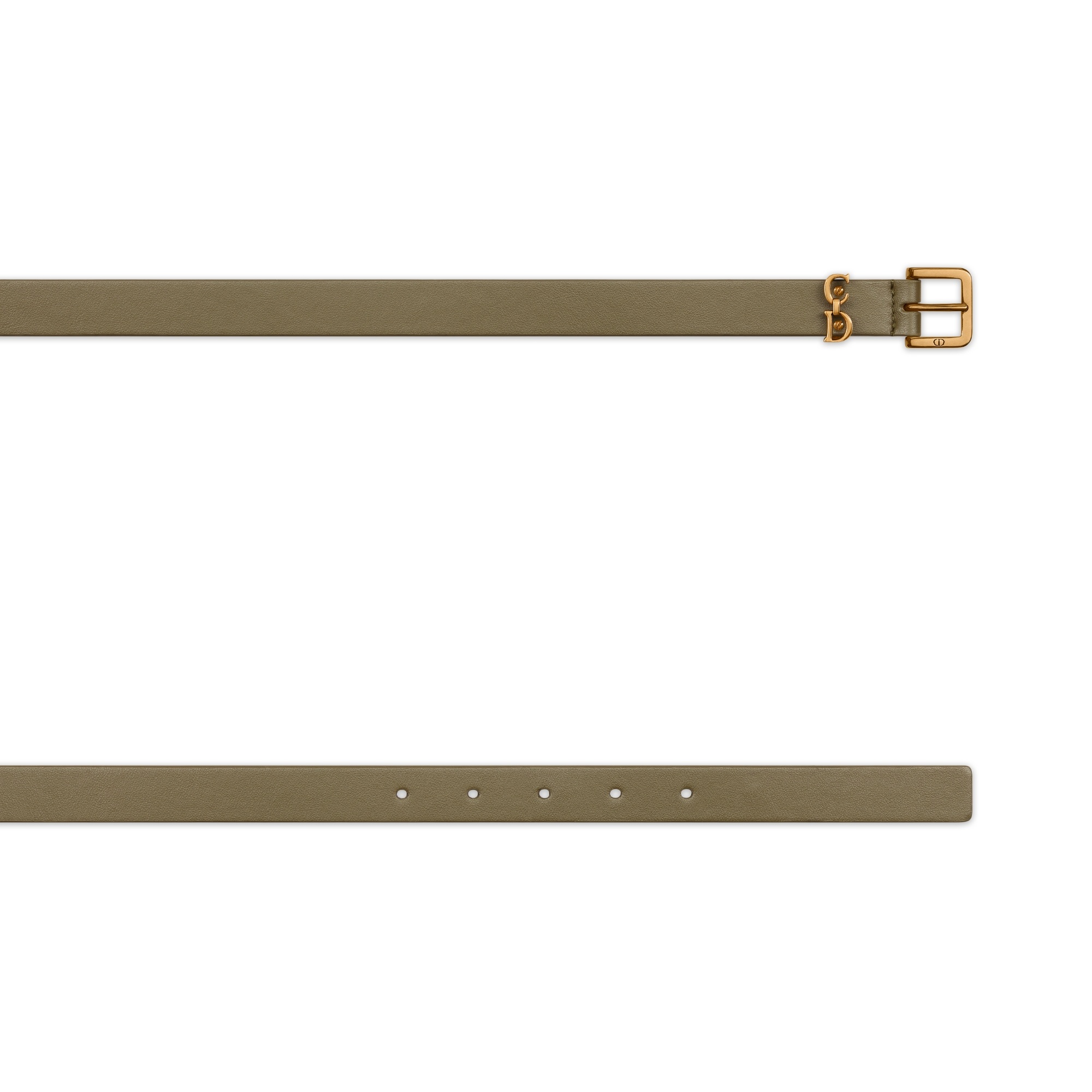 Dior Ceinture Saddle Loop In Brown