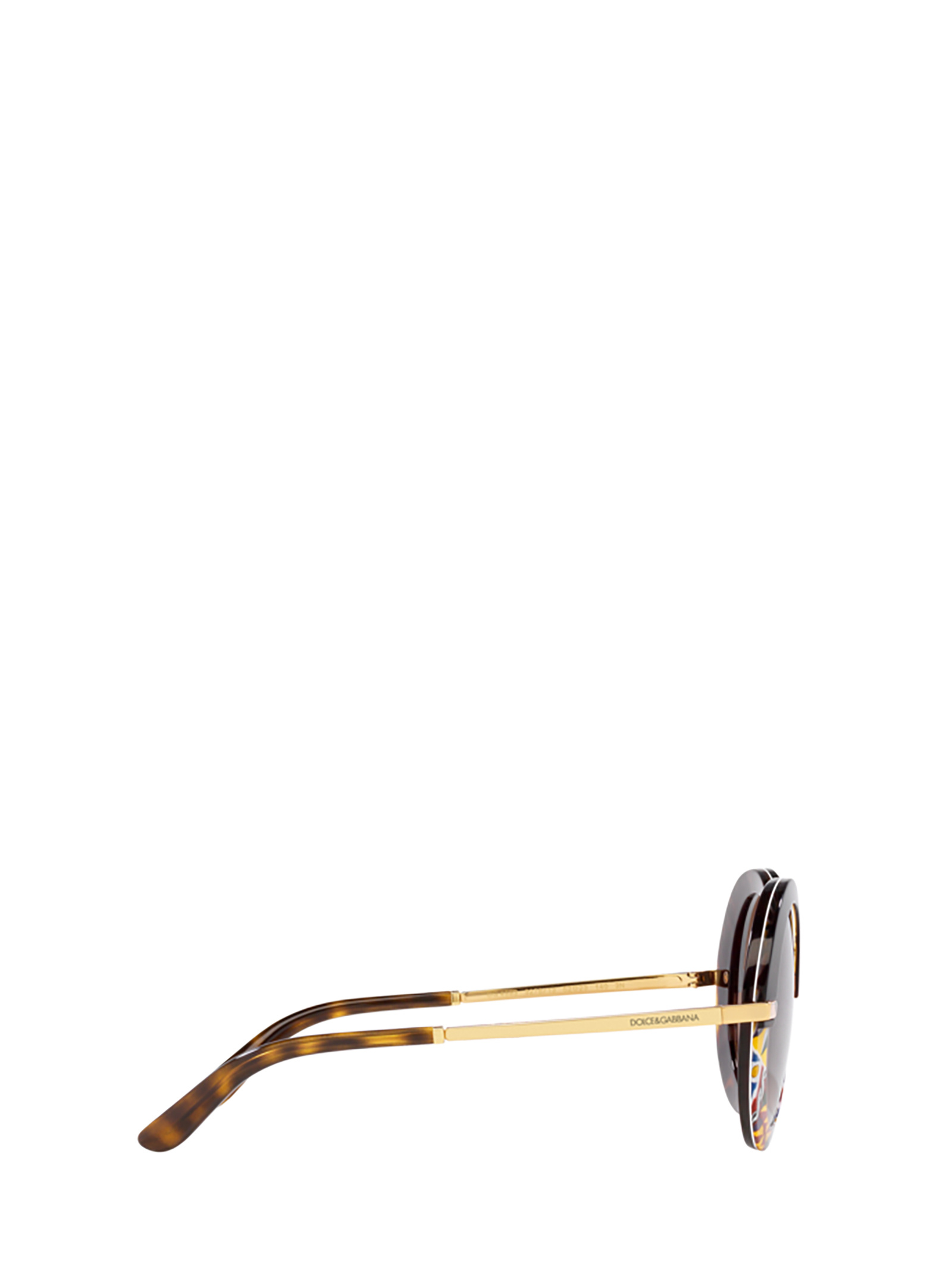 Dolce & Gabbana Floral-print Round-frame Sunglasses In Multicolor