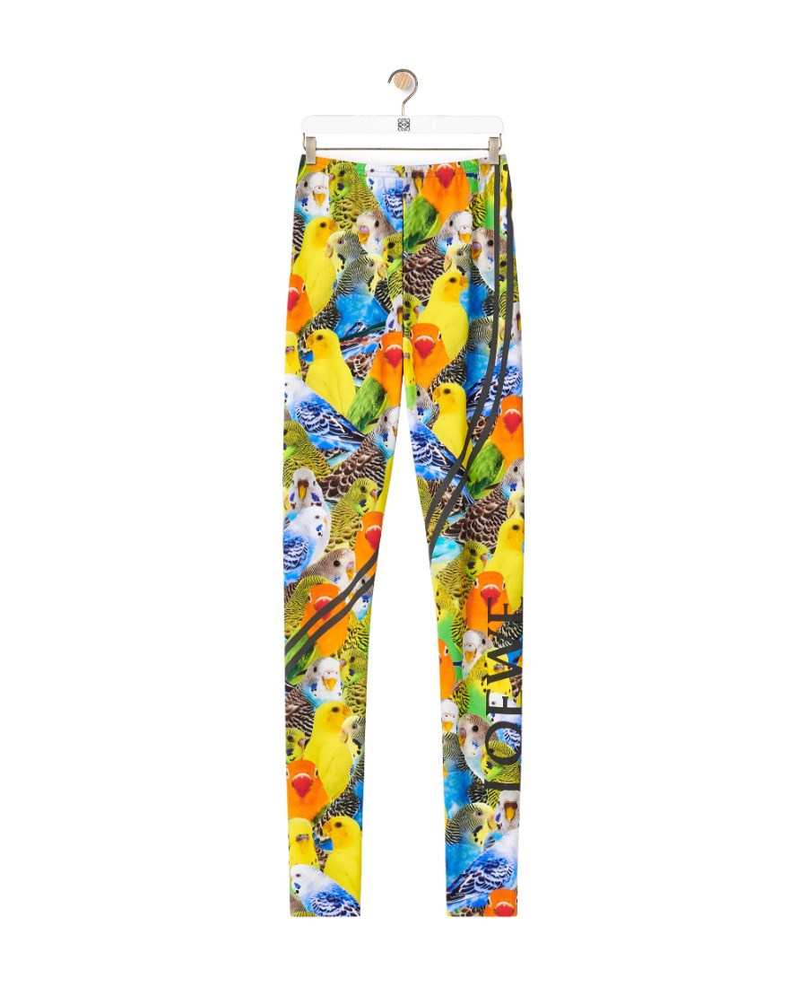 Loewe Bird-print Leggings In Multicolor