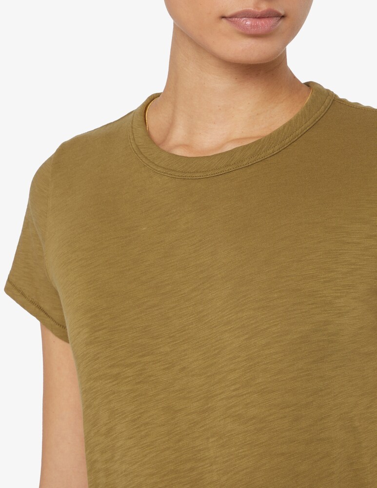 Rag & Bone Item O-neck Short-sleeved T-shirt In Brown
