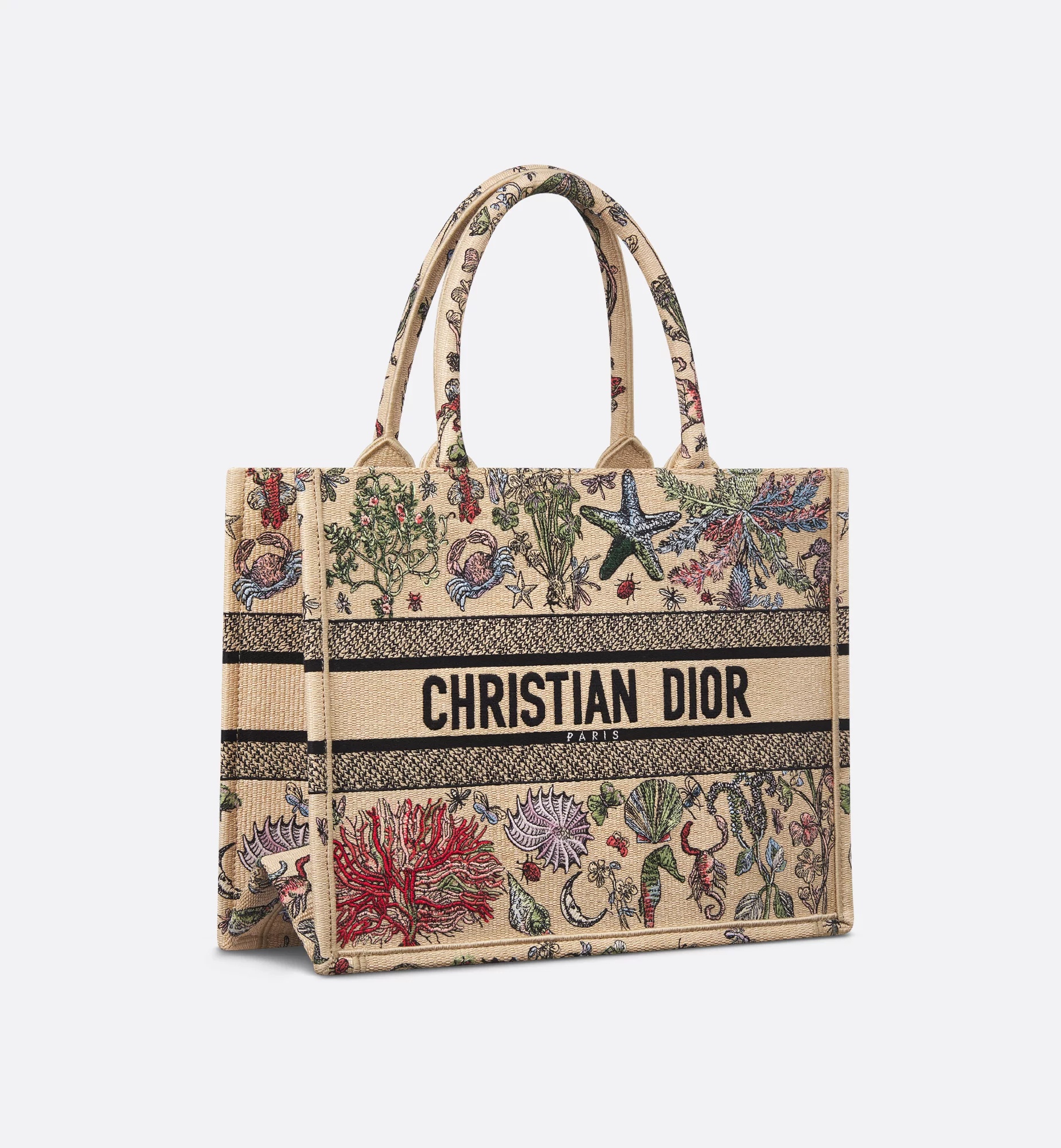 Dior Medium Booktote Handbag In Nude