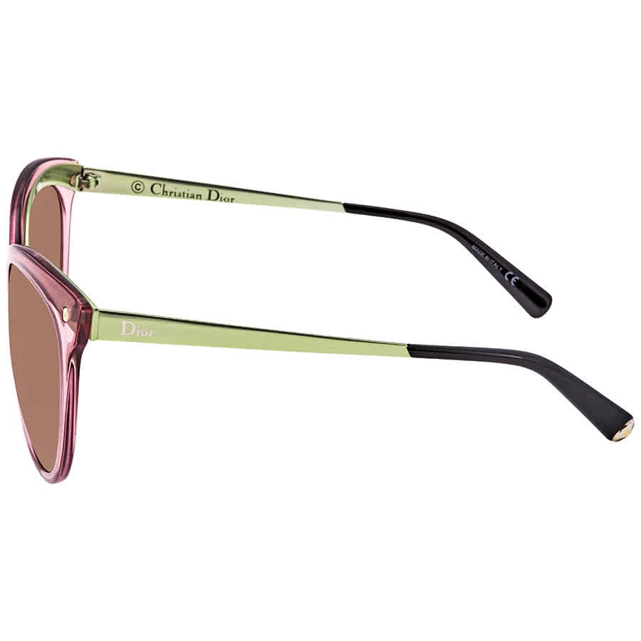 Dior Logo Sunglasses In Brown