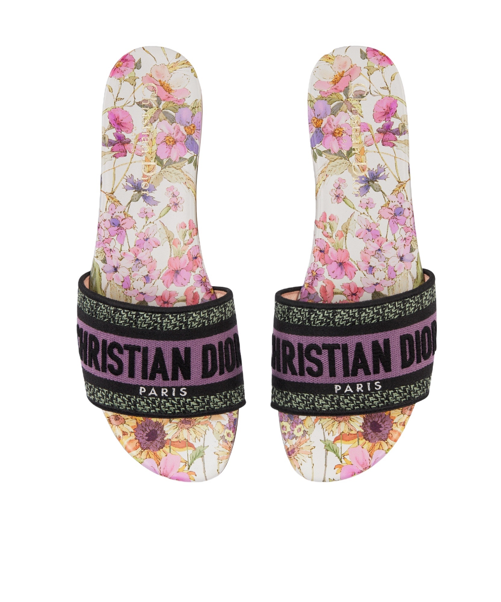 Dior Dway Logo Flip-flops In Multicolor