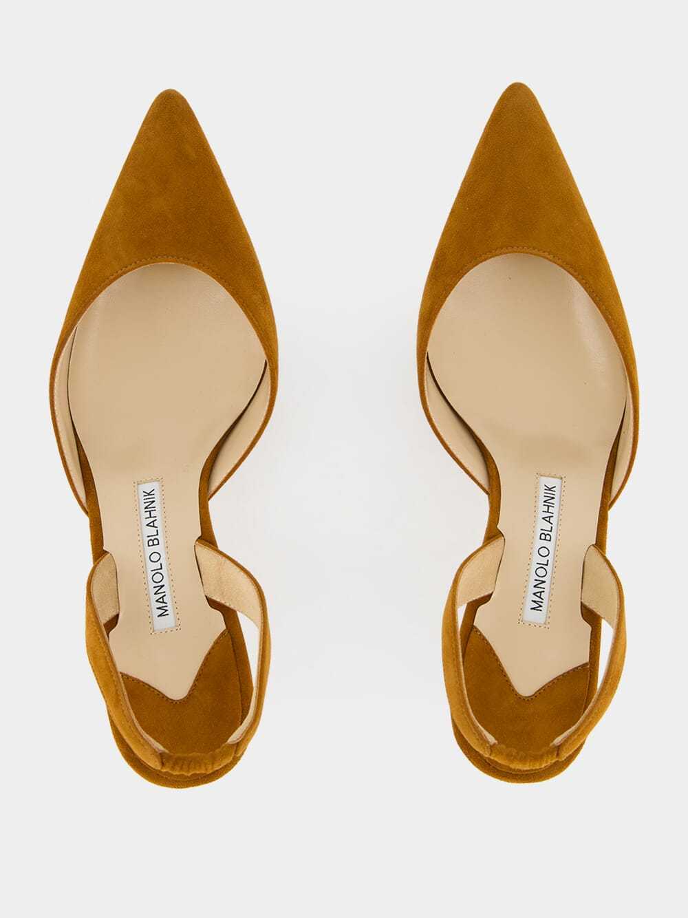 Manolo Blahnik Pointed High-heeled Sandals In Animal Print