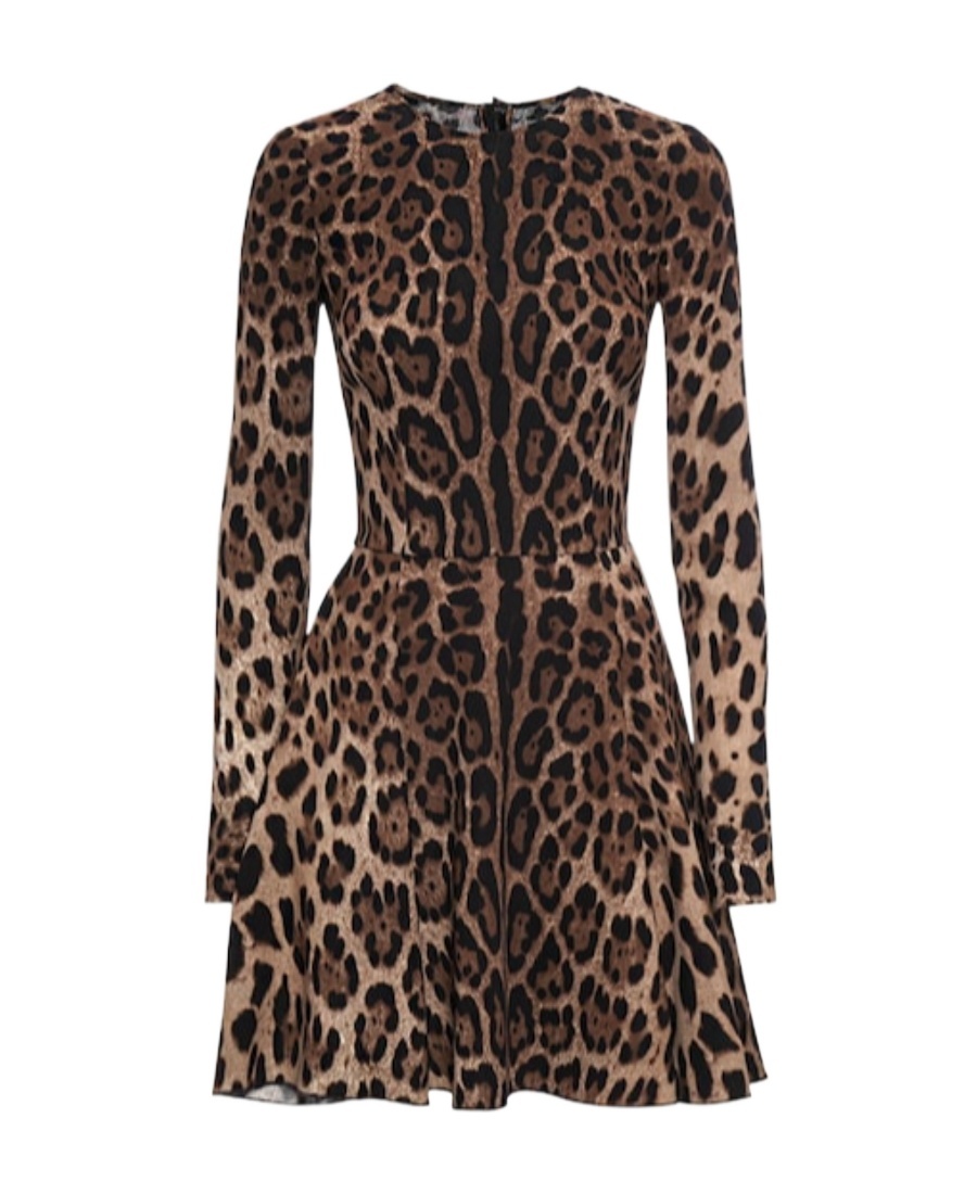 Dolce & Gabbana Leopard Print Mini Dress