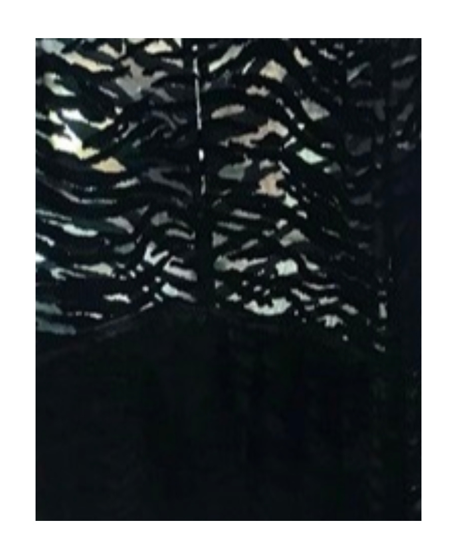 Saint Laurent Zebra Print Sheer Dress In Black