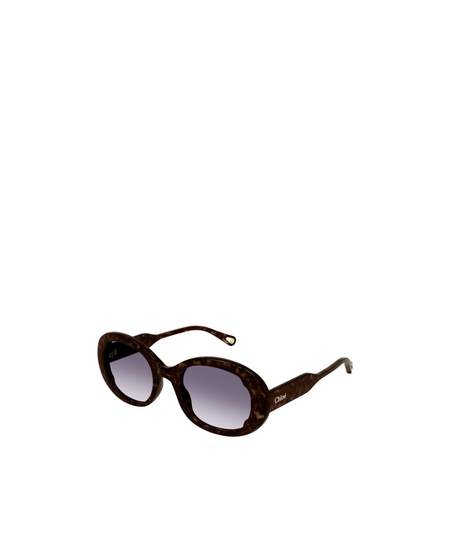Chloé Havana Oval-frame Sunglasses In Black