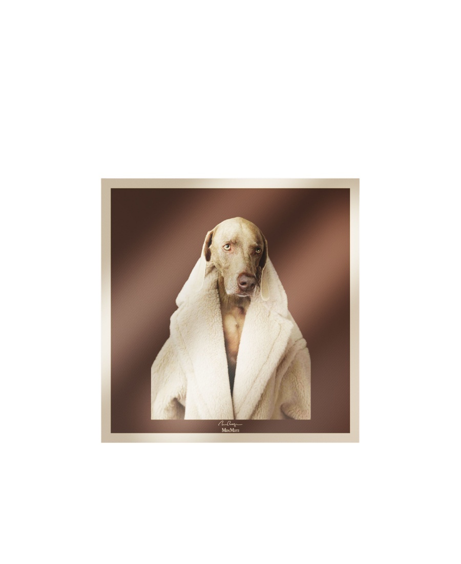 Max Mara Carreteddydog Silk Scarf In Nude