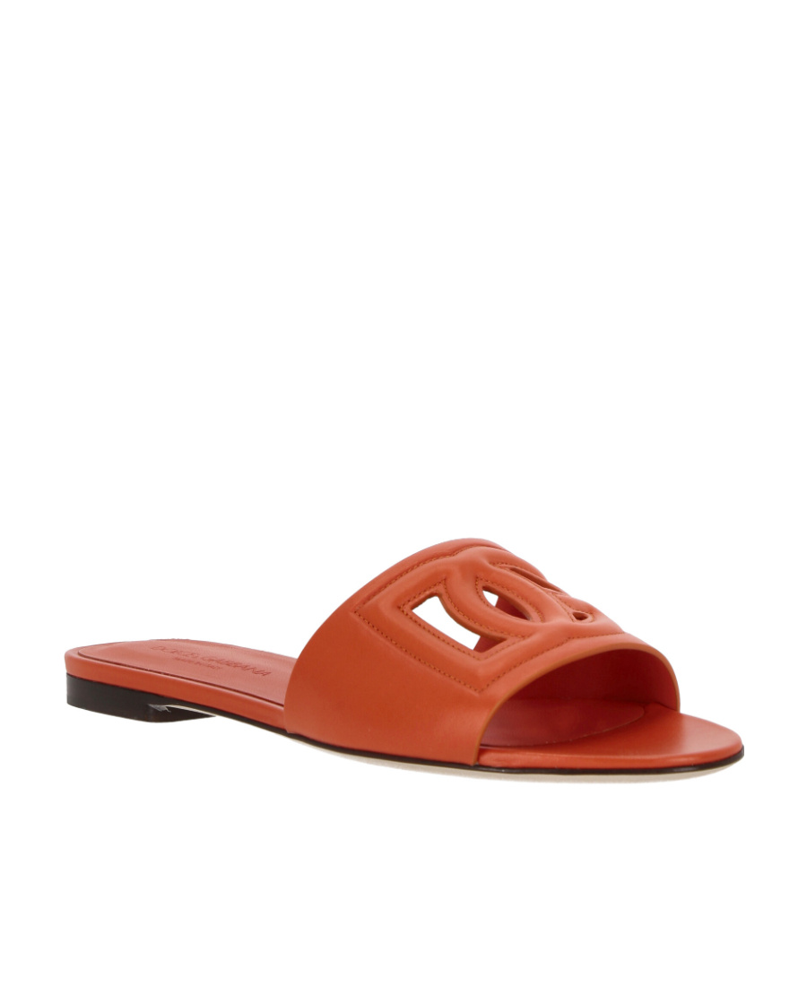Dolce & Gabbana Dg Millennials Logo Slides In Brown