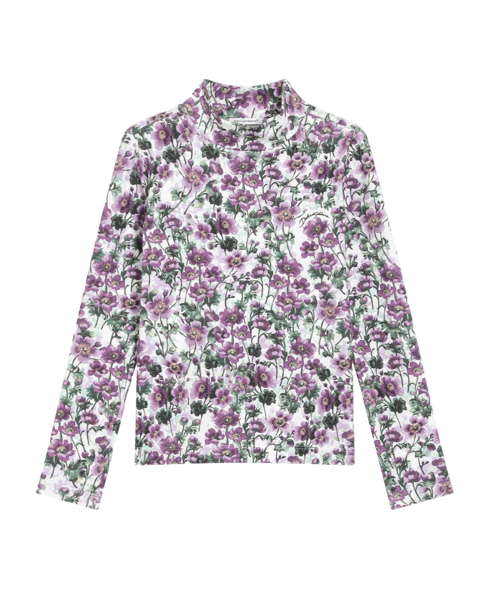 Dolce & Gabbana Floral-print Mock-neck T-shirt In Multi